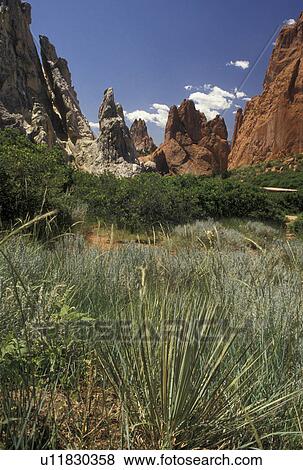 Stock Photo -  rock formations, Garden of the Gods, Colorado Springs, CO, Colorado, Scenic view of the red and white sandstone rock formations in the Garden of the Gods in Colorado Springs.. Fotosearch