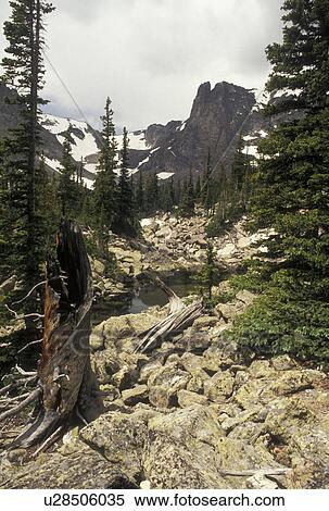 Stock Photography -  Rocky Mountain National Park, CO, Colorado, Rocky Mountains, Scenic view of the alpine mountains in Rocky Mountain Nat'l Park.. Fotosearch