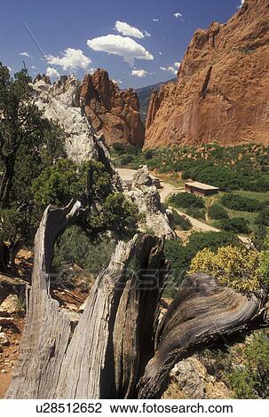 Stock Image -  sandstone, Colorado Springs, Garden of the Gods, CO, Colorado, Scenic view of the red and white sandstone rock formations in the Garden of the Gods in Colorado Springs.. Fotosearch