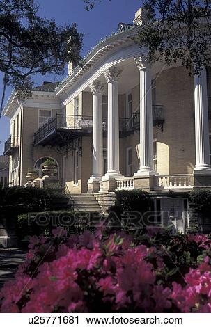Savannah, GA, Georgia, A pink azalea bush outside an historic home along Whitaker Street in Savannah in the spring. View Large Photo Image Stock Image - Savannah, GA, Georgia, A pink azalea bush outside an historic home along Whitaker Street in Savannah in the spring. . Fotosearch