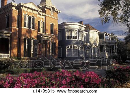 Savannah, GA, Georgia, Historic homes along Whitaker Street in Savannah in the spring. View Large Photo Image Stock Photography - Savannah, GA, Georgia, Historic homes along Whitaker Street in Savannah in the spring. . Fotosearch