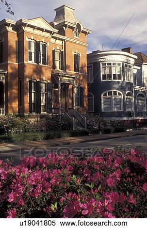 Savannah, GA, Georgia, Historic homes along Whitaker Street in Savannah in the spring. View Large Photo Image Stock Photography - Savannah, GA, Georgia, Historic homes along Whitaker Street in Savannah in the spring. . Fotosearch