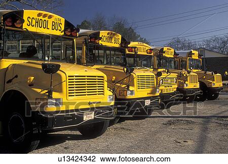 School bus, Atlanta, GA, Georgia, Yellow school buses lined up in a parking lot View Large Photo Image Stock Image - School bus, Atlanta, GA, Georgia, Yellow school buses lined up in a parking lot. Fotosearch