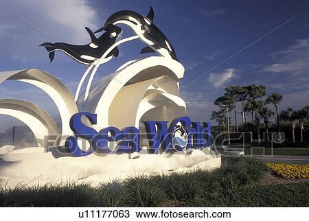 Sea World, Orlando, FL, Florida, Entrance to Sea World Orlando. View Large Photo Image Stock Image - Sea World, Orlando, FL, Florida, Entrance to Sea World Orlando.. Fotosearch