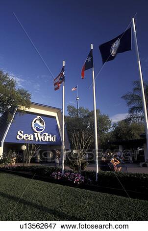 Sea World, Orlando, FL, Florida, Entrance to Sea World Orlando. View Large Photo Image Stock Photo - Sea World, Orlando, FL, Florida, Entrance to Sea World Orlando.. Fotosearch