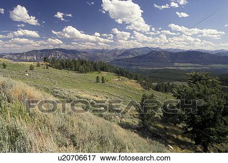Shoshone National Forest, WY, Wyoming, Scenic view of the mountains and valley of the Shoshone Nat'l Forest in Wyoming. View Large Photo Image Stock Photo - Shoshone National Forest, WY, Wyoming, Scenic view of the mountains and valley of the Shoshone Nat'l Forest in Wyoming.. Fotosearch