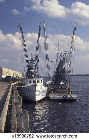shrimp boat, GA, Brunswick, Georgia, Shrimp boats docked along harbor in Brunswick. View Large Photo Image Stock Image - shrimp boat, GA, Brunswick, Georgia, Shrimp boats docked along harbor in Brunswick.. Fotosearch