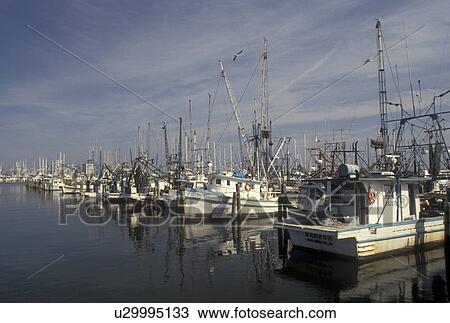 shrimp boat, Mississippi, MS, Christian, Shrimp boats docked in the harbor of the Gulf of Mexico in Christian. View Large Photo Image Stock Image - shrimp boat, Mississippi, MS, Christian, Shrimp boats docked in the harbor of the Gulf of Mexico in Christian.. Fotosearch