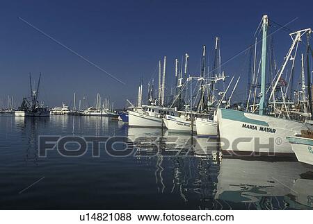shrimp boat, Pass Christian, MS, Mississippi, Gulf Coast, Shrimp boats docked at a marina reflect in the calm water in Pass Christian on the Gulf of Mexico. View Large Photo Image Stock Photo - shrimp boat, Pass Christian, MS, Mississippi, Gulf Coast, Shrimp boats docked at a marina reflect in the calm water in Pass Christian on the Gulf of Mexico. . Fotosearch