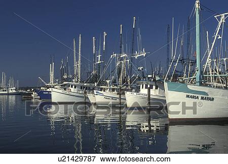 shrimp boat, Pass Christian, MS, Mississippi, Gulf Coast, Shrimp boats docked at a marina reflect in the calm water in Pass Christian on the Gulf of Mexico. View Large Photo Image Stock Photo - shrimp boat, Pass Christian, MS, Mississippi, Gulf Coast, Shrimp boats docked at a marina reflect in the calm water in Pass Christian on the Gulf of Mexico. . Fotosearch