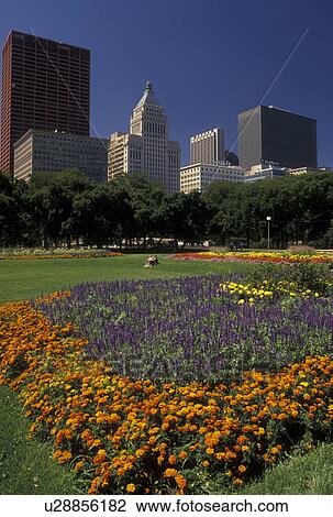 skyline, Chicago, IL, Illinois, Skyline of downtown Chicago from Grant Park adorned with colorful flowers. View Large Photo Image Stock Image - skyline, Chicago, IL, Illinois, Skyline of downtown Chicago from Grant Park adorned with colorful flowers.. Fotosearch
