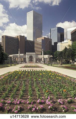 skyline, Denver, CO, Colorado, Skyline of downtown Denver from Civic Center Park adorned with flowers. View Large Photo Image Stock Photo - skyline, Denver, CO, Colorado, Skyline of downtown Denver from Civic Center Park adorned with flowers.. Fotosearch