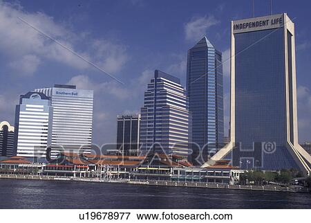 skyline, Jacksonville, FL, Florida, Skyline of Jacksonville along the St. Johns River. View Large Photo Image Stock Photo - skyline, Jacksonville, FL, Florida, Skyline of Jacksonville along the St. Johns River.. Fotosearch