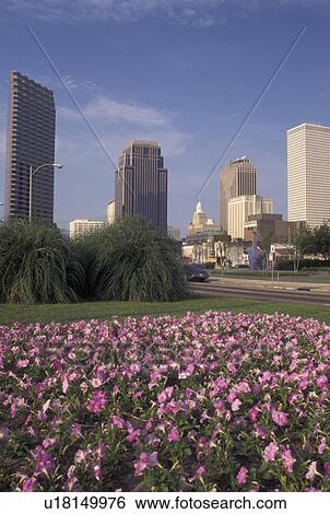 skyline, New Orleans, LA, Louisiana, Skyline of downtown New Orleans. View Large Photo Image Stock Photograph - skyline, New Orleans, LA, Louisiana, Skyline of downtown New Orleans.. Fotosearch