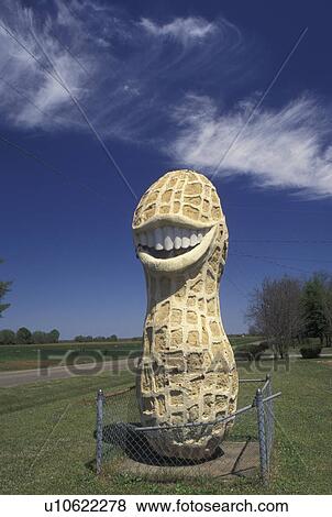 smiling peanut, Plains, GA, Georgia, Large Smiling Peanut statue welcome visitors to Plains, GA, hometown of former President Jimmy Carter. View Large Photo Image Stock Photo - smiling peanut, Plains, GA, Georgia, Large Smiling Peanut statue welcome visitors to Plains, GA, hometown of former President Jimmy Carter.. Fotosearch