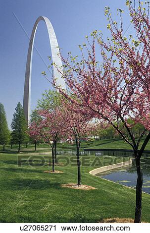 St. Louis, Gateway Arch, MO, Missouri, The Gateway Arch, Jefferson National Expansion Memorial, in Saint Louis in the spring. Gateway to the West. View Large Photo Image Stock Image - St. Louis, Gateway Arch, MO, Missouri, The Gateway Arch, Jefferson National Expansion Memorial, in Saint Louis in the spring. Gateway to the West.. Fotosearch