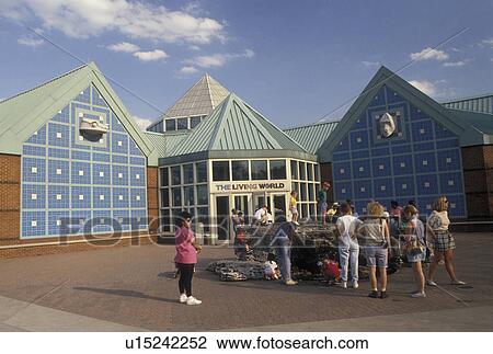 St. Louis Zoo, St. Louis, MO, Missouri, Entrance to The Living World at St. Louis Zoological Park in Forest Park in Saint Louis. View Large Photo Image Stock Image - St. Louis Zoo, St. Louis, MO, Missouri, Entrance to The Living World at St. Louis Zoological Park in Forest Park in Saint Louis.. Fotosearch