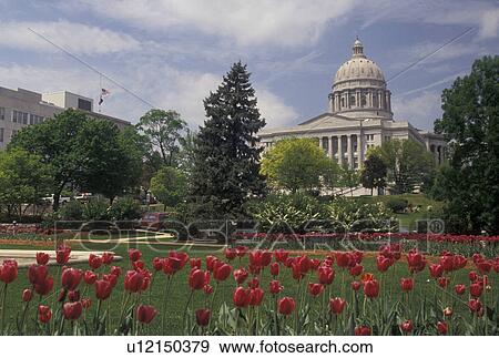 State Capitol, Jefferson City, MO, State House, Missouri, Tulips decorate the grounds of the Missouri State Capitol in Jefferson City in the spring. View Large Photo Image Stock Photo - State Capitol, Jefferson City, MO, State House, Missouri, Tulips decorate the grounds of the Missouri State Capitol in Jefferson City in the spring.. Fotosearch