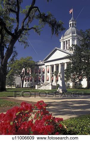 Stock Photo -  State Capitol, Tallahassee, State House, FL, Florida, The Old State Capitol in the capital city of Tallahassee.. Fotosearch