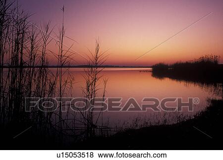 Stock Photo -  sunrise, Gulf Shore, Alabama, Gulf of Mexico, AL, Sunrise over the Gulf of Mexico at Gulf State Park in Gulf Shore.. Fotosearch