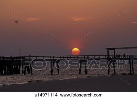 sunset, St. Simons Island, GA, Golden Isles, Georgia, Picturesque view of the sun setting beyond the fishing pier on the Atlantic Ocean on Saint Simons Island in Georgia. View Large Photo Image Picture - sunset, St. Simons Island, GA, Golden Isles, Georgia, Picturesque view of the sun setting beyond the fishing pier on the Atlantic Ocean on Saint Simons Island in Georgia.. Fotosearch