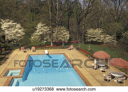 Pictures Of Swimming Pool Atlanta Georgia Ga At Swimming Pool Atlanta Georgia Ga At The Governor S Mansion In Spring