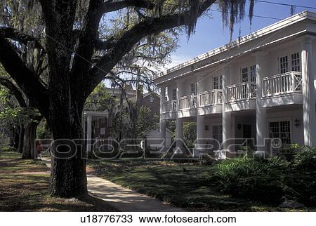 Tallahassee, FL, Florida, Associated Industry of Florida View Large Photo Image Stock Image - Tallahassee, FL, Florida, Associated Industry of Florida . Fotosearch