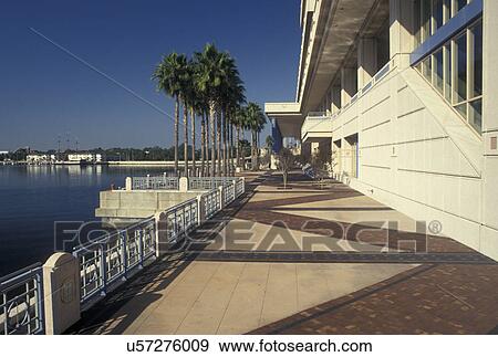 Tampa, FL, Florida, Tampa Bay, Convention Center in downtown Tampa. View Large Photo Image Stock Photo - Tampa, FL, Florida, Tampa Bay, Convention Center in downtown Tampa.. Fotosearch