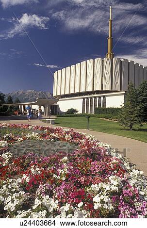 temple, mormons, Provo, UT, Utah, Gold-Spired Provo Mormon Temple in Provo. The Church of Jesus Christ of Latter-day Saints. View Large Photo Image Picture - temple, mormons, Provo, UT, Utah, Gold-Spired Provo Mormon Temple in Provo. The Church of Jesus Christ of Latter-day Saints.. Fotosearch