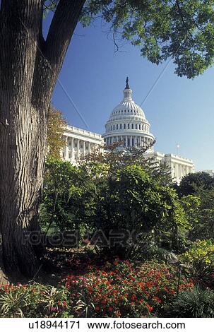 Washington, DC, U. S. Capitol, District of Columbia, United States Capitol Building on Capitol Hill in the nation's capital Washington D. C. in the fall. View Large Photo Image Stock Image - Washington, DC, U. S. Capitol, District of Columbia, United States Capitol Building on Capitol Hill in the nation's capital Washington D. C. in the fall.. Fotosearch