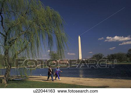 Stock Image -  Washington Monument, Washington, DC, District of Columbia, The Washington Monument from Constitution Gardens in the spring in Washington, D. C.. Fotosearch