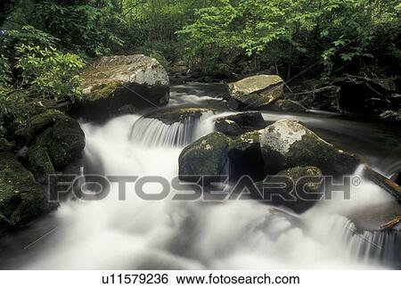 waterfall, Nantahala National Forest, NC, North Carolina, Water cascades over rocks on a scenic river in Joyce Kilmer Memorial Forest. View Large Photo Image Stock Photograph -  waterfall, Nantahala National Forest, NC, North Carolina, Water cascades over rocks on a scenic river in Joyce Kilmer Memorial Forest.. Fotosearch