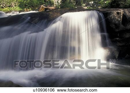 waterfall, Targhee National Forest, WY, Wyoming, waterfall cascading down over rocks along the Alaska Basin Trail in Targhee Nat'l Forest in Wyoming in the Teton Range near the Grand Teton National Park View Large Photo Image Stock Photograph - waterfall, Targhee National Forest, WY, Wyoming, waterfall cascading down over rocks along the Alaska Basin Trail in Targhee Nat'l Forest in Wyoming in the Teton Range near the Grand Teton National Park. Fotosearch