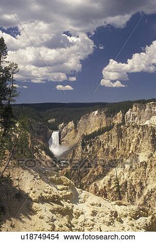 Picture -  waterfall, Yellowstone National Park, WY, Yellowstone River, Lower Falls, Canyon Village, Wyoming, Scenic view of Lower Falls cascading down the canyon in Canyon Village from Artist Point in Yellowstone Nat'l Park in Wyoming. The Grand Canyon of Yellowst. Fotosearch