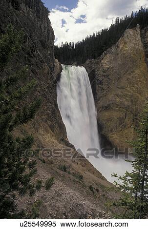 Stock Photography -  waterfall, Yellowstone National Park, WY, Yellowstone River, Lower Falls, Canyon Village, Wyoming, Lower Falls cascading down the Yellowstone Canyon in Yellowstone Nat'l Park in Wyoming. The Grand Canyon of Yellowstone.. Fotosearch