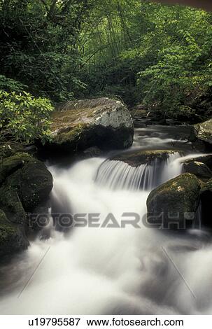 waterfalls, Nantahala National Forest, NC, North Carolina, Water cascades over rocks on a scenic river in Joyce Kilmer Memorial Forest. View Large Photo Image Stock Photo - waterfalls, Nantahala National Forest, NC, North Carolina, Water cascades over rocks on a scenic river in Joyce Kilmer Memorial Forest.. Fotosearch
