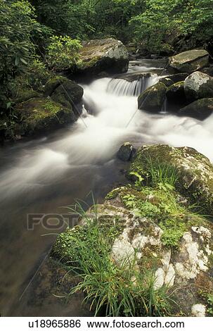 waterfalls, Nantahala National Forest, NC, North Carolina, Water cascades over rocks on a scenic river in Joyce Kilmer Memorial Forest. View Large Photo Image Stock Photograph - waterfalls, Nantahala National Forest, NC, North Carolina, Water cascades over rocks on a scenic river in Joyce Kilmer Memorial Forest.. Fotosearch