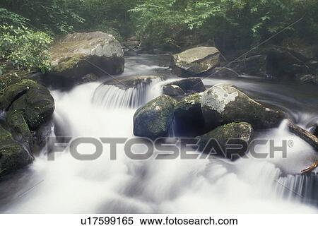 waterfalls, Nantahala National Forest, NC, North Carolina, Water cascades over rocks on a scenic river in Joyce Kilmer Memorial Forest. View Large Photo Image Stock Photography - waterfalls, Nantahala National Forest, NC, North Carolina, Water cascades over rocks on a scenic river in Joyce Kilmer Memorial Forest.. Fotosearch