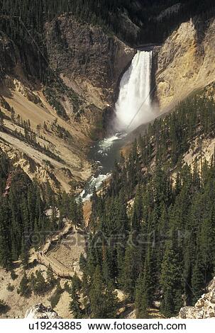 Stock Photography -  waterfalls, Yellowstone National Park, WY, Yellowstone River, Lower Falls, Canyon Village, Wyoming, Scenic view of Lower Falls cascading down the Yellowstone Canyonfrom Lookout Point in Yellowstone Nat'l Park in Wyoming. The Grand Canyon of Yellowstone. . Fotosearch