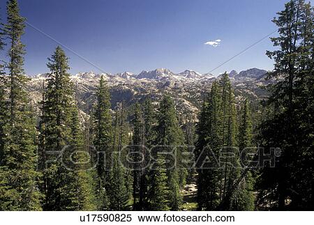 Stock Photography -  Wind River Range, Bridger-Teton National Forest, WY, Wyoming, Scenic view of the Wind River Range Mountains in the Bridger-Teton Nat'l Forest in Wyoming.. Fotosearch