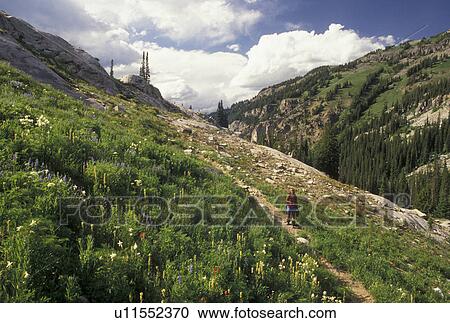 Stock Image -  woman, hiking, Targhee National Forest, WY, Wyoming, Woman backpacking on the scenic Alaska Basin Trail in Targhee Nat'l Forest in the Teton Range near the Grand Teton National Park.. Fotosearch