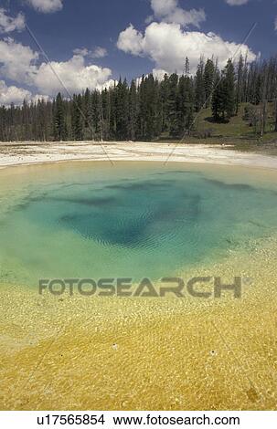 Yellowstone National Park Fuentes Termales Geisers Wy Wyoming Belleza Piscina En Lavabo Superior Del Geiser En Yellowstone Nat L Parque En Wyoming Foto U Fotosearch