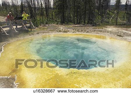 Stock Photo -  Yellowstone National Park, hot springs, geysers, WY, Wyoming, Morning Glory Pool in Upper Geyser Basin in Yellowstone Nat'l Park in Wyoming.. Fotosearch