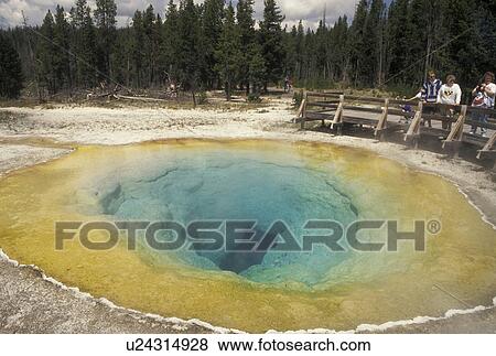 Yellowstone National Park, hot springs, geysers, WY, Wyoming, Morning Glory Pool in Upper Geyser Basin in Yellowstone Nat'l Park in Wyoming. View Large Photo Image Stock Photo - Yellowstone National Park, hot springs, geysers, WY, Wyoming, Morning Glory Pool in Upper Geyser Basin in Yellowstone Nat'l Park in Wyoming.. Fotosearch