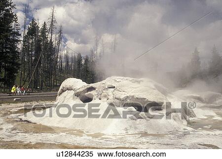 Stock Photography -  Yellowstone National Park, hot springs, geysers, WY, Wyoming, Grotto Geyser in Upper Geyser Basin in Yellowstone Nat'l Park in Wyoming.. Fotosearch