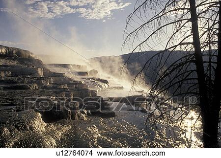 Yellowstone National Park, Mammoth Hot Springs, WY, Wyoming, Canary Springs, a terrace-like formation created by limestone deposits, at Mammoth Hot Springs in Yellowstone Nat'l Park in Wyoming. View Large Photo Image Picture - Yellowstone National Park, Mammoth Hot Springs, WY, Wyoming, Canary Springs, a terrace-like formation created by limestone deposits, at Mammoth Hot Springs in Yellowstone Nat'l Park in Wyoming. . Fotosearch