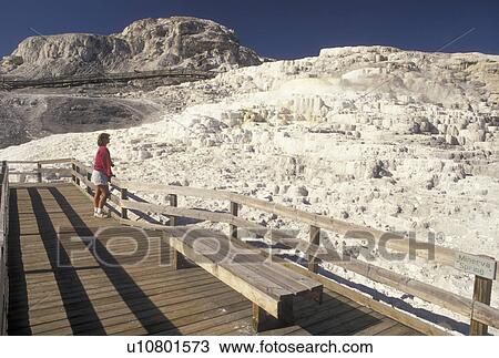 Stock Image -  Yellowstone National Park, Mammoth Hot Springs, WY, Wyoming, Woman standing on boardwalk looking at Minerva Spring at Mammoth Hot Springs in Yellowstone Nat'l Park in Wyoming. . Fotosearch