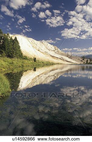 Yellowstone National Park, Mammoth Hot Springs, WY, Wyoming, Canary Springs reflect in the calm waters of a pond at Mammoth Hot Springs in Yellowstone Nat'l Park in Wyoming. View Large Photo Image Stock Photograph - Yellowstone National Park, Mammoth Hot Springs, WY, Wyoming, Canary Springs reflect in the calm waters of a pond at Mammoth Hot Springs in Yellowstone Nat'l Park in Wyoming. . Fotosearch