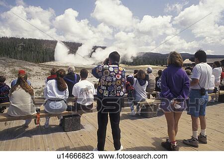 Yellowstone National Park, Old Faithful, WY, geyser, Wyoming, A crowd of people watching Old Faithful erupt in Yellowstone Nat'l Park in Wyoming. View Large Photo Image Stock Image - Yellowstone National Park, Old Faithful, WY, geyser, Wyoming, A crowd of people watching Old Faithful erupt in Yellowstone Nat'l Park in Wyoming.. Fotosearch