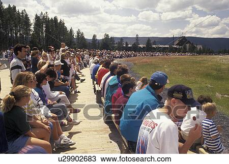 Yellowstone National Park, WY, geyser, Wyoming, Old Faithful, A crowd of people watching Old Faithful erupt in Yellowstone Nat'l Park in Wyoming. View Large Photo Image Stock Image - Yellowstone National Park, WY, geyser, Wyoming, Old Faithful, A crowd of people watching Old Faithful erupt in Yellowstone Nat'l Park in Wyoming.. Fotosearch